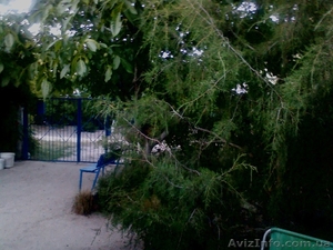 Азов. Генгорка. Спокойный отдых для семей. #1121092