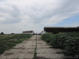 Коммерческая недвижимость на продажу #1117089