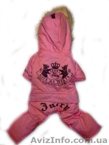 Демисезонные комбинезоны для разных пород собак  #1118268