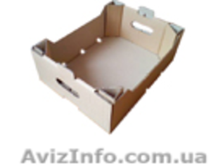 Картонная тара под овощи и фрукту  #1119807