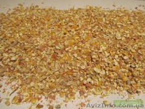 Куплю зерноотходы пшеницы,  кукурузы,  сои,  ячменя #1115815