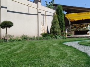 Рулонные газоны – с июля 2014 г. и в Вашей области! #1113997