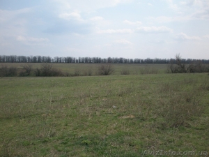 Продам участок земли 135 га и озеро 195 га.   #1115471