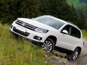 Аренда авто с водителем днепр #1121622