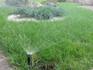 Автоматичний полив ,  крапельний – монтаж автополиву #1123357