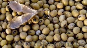 =купим рапс  пшеницу  сою  кукурузу  ячмень  подсолнечник= #1113675