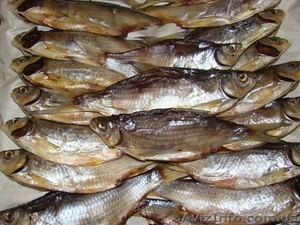 Вяленая тарань азовская  #1122436