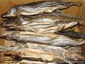 Вяленая щука астраханская #1122440