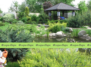 ФЛОРА-ПАРК – ландшафтний дизайн,  благоустрій,  озеленення #1123355