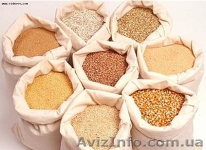 экспортёры купят paпс  пшeницу  coю  кукурузу  ячмень  подсолнечник #1120388