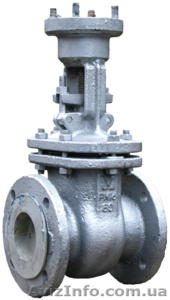 Задвижка стальная 30с941нж #1138541