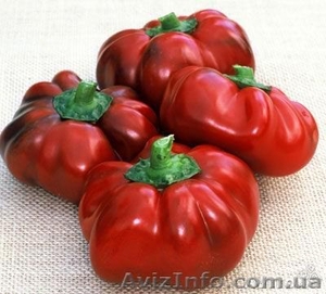 БОЛГАРСКИЙ перец и РАТУНДА #1136425