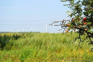 Продам Киевской областе селе Ревне, участок 10 соток. #1127827