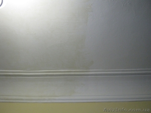 ECOLOR BLOCK COAT - средство для нейтрализации пятен на стенах и потолках. #1132169