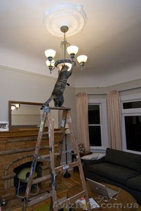 Муж на час для обустройства дома #1127753