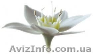 МАССАЖ  Reconnective Healing® Сеансы БЕСПЛАТНО. Тест-группа. #1133534