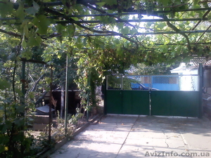 Отдых на Азовском море,  с.Генгорка,  рядом Дельфинарий,  от 35 грн. #1128846