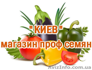 Профессиональные семена овощей в Киеве #1127285
