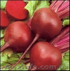 Продам свой лук до 1500 т в Одессе #1136585