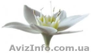 Энергетический массаж Reconnective Healing ® #1130539