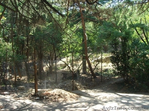 Продам участок в центре г.Ялты 6.7 соток. #1136584