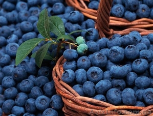 Швеция -  2015! #1133745