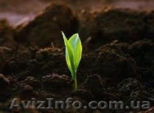 Органические удобрения. #1128952