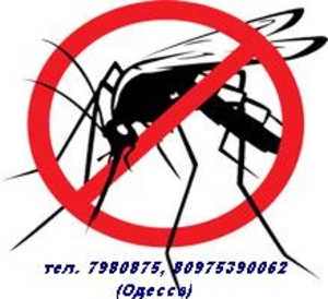 Анти москитные сетки. Комплекты от 100гр*. #1129585