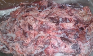 Продам мясо голов (котлетное мясо,  головизна) постность 80/20 #1150960