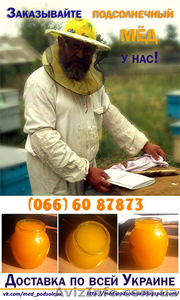 Мед подсолнечный 2014 года #1139572