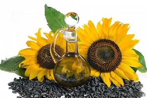 Продам оптом качественный посевной материал кукурузы и подсолнечника #1143918