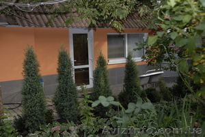 Сдам евродомик в центре Харькова в 7-10 мин. от станции метро Научная #1136631