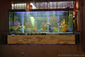 Перевозка аквариумов и террариумов в Киеве и области #1144850