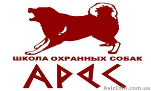 Школа охранных собак