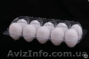 Лоток пластиковый под куриные яйца. #1149357