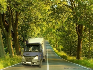 Вантажники Перевезення меблiв  Луцьк - Велика #1153476