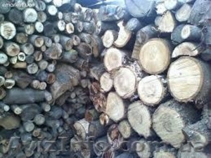 Дрова фруктовые #1140986