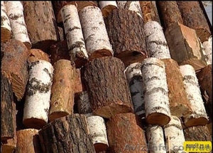 Дрова Любые Доставка Бесплатная #1148127