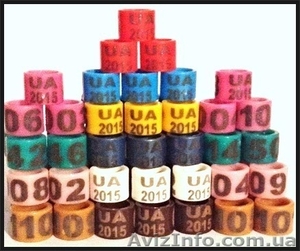 РОДОВЫЕ КОЛЬЦА ДЛЯ ГОЛУБЕЙ (8 мм) с годом 2014 - 2015 / без года . #1147700