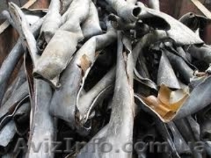 Куплю свинец дорого #1151933