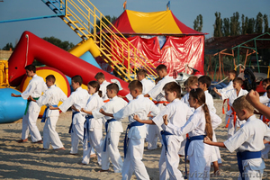 Киокушин карате детская группа #1142188