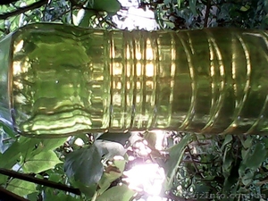 продам дизель в Харькове #1152766