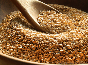 Соль,  соль углеамонийная,  сода пищевая,  лимонная кислота #1154072