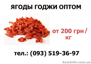 Ягоды годжи оптом . Доставка по всей Украине  #1149146