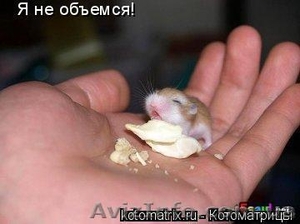 ghtlkfufhg gfhfghfghfh #1152123