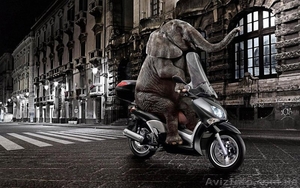 Реклама Кривой Рог #1150472