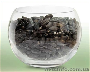 кондитерский подсолнух 38+ #1149442