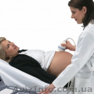 УЗИ,  гинекология #1146099