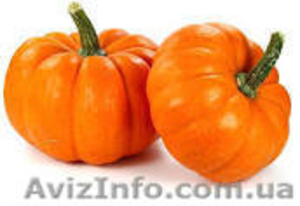 тыкву продам срочно  #1146345