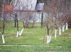 Обрезка сада в Сумах и обл #1156344